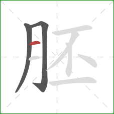 胚的笔顺第3画：横