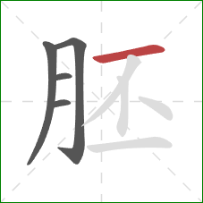 胚的笔顺第5画：横