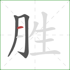 胜的笔顺第3画：横