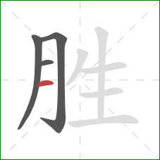 胜的笔顺第4画：横