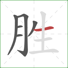 胜的笔顺第6画：横