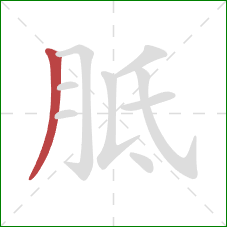 胝的笔顺第1画：撇