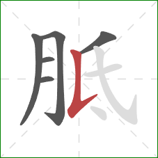 胝的笔顺第6画：竖提