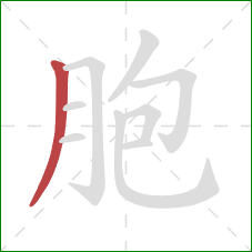 胞的笔顺第1画：撇