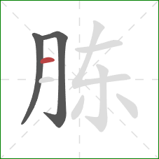 胨的笔顺第3画：横