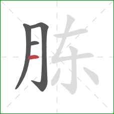 胨的笔顺第4画：横