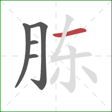 胨的笔顺第5画：横