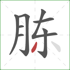 胨的笔顺第8画：撇