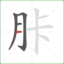 胩的笔顺第4画：横