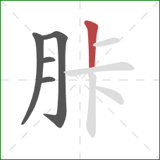 胩的笔顺第5画：竖