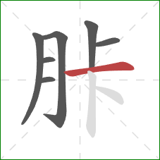 胩的笔顺第7画：横