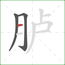 胪的笔顺第3画：横