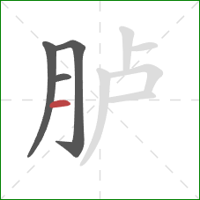 胪的笔顺第4画：横