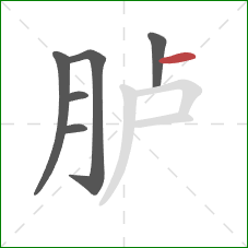 胪的笔顺第6画：横