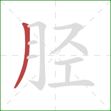 胫的笔顺第1画：撇