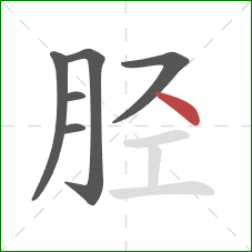胫的笔顺第6画：点