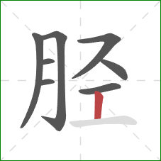 胫的笔顺第8画：竖