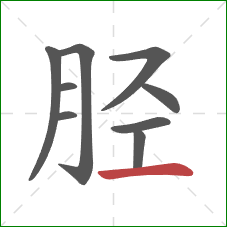 胫的笔顺第9画：横