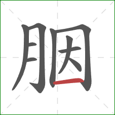 胭的笔顺第10画:横 胭的笔顺第10画:横