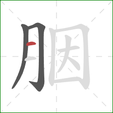 胭的笔顺第3画:横 胭的笔顺第3画:横