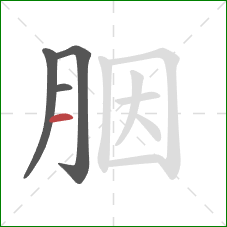 胭的笔顺第4画:横 胭的笔顺第4画:横