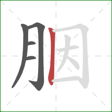 胭的笔顺第5画:竖 胭的笔顺第5画:竖