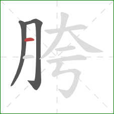 胯的笔顺第3画：横