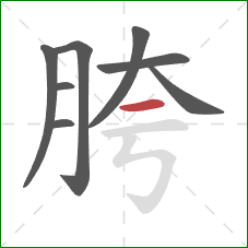 胯的笔顺第8画：横