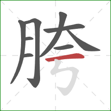 胯的笔顺第9画：横