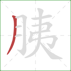 胰的笔顺第1画：撇