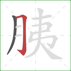 胰的笔顺第2画：横折钩