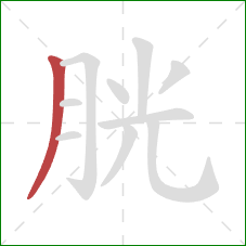 胱的笔顺第1画：撇