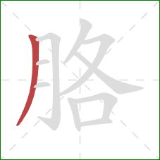 胳的笔顺第1画:撇 胳的笔顺第1画:撇