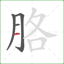 胳的笔顺第4画:横 胳的笔顺第4画:横