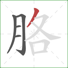 胳的笔顺第5画:撇 胳的笔顺第5画:撇