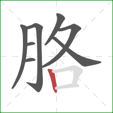 胳的笔顺第8画:竖 胳的笔顺第8画:竖