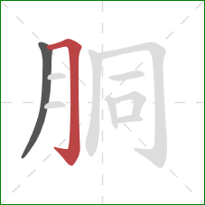 胴的笔顺第2画:横折钩 胴的笔顺第2画:横折钩