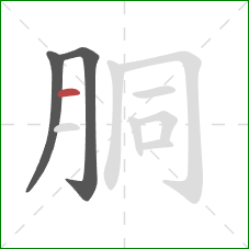 胴的笔顺第3画:横 胴的笔顺第3画:横