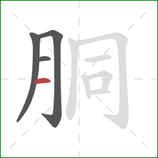 胴的笔顺第4画:横 胴的笔顺第4画:横