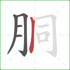 胴的笔顺第5画:竖 胴的笔顺第5画:竖