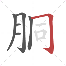 胴的笔顺第6画:横折钩 胴的笔顺第6画:横折钩