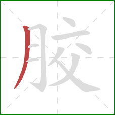 胶的笔顺第1画：撇