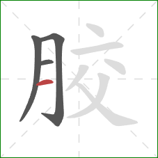 胶的笔顺第4画：横