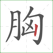 胸的笔顺第10画：竖