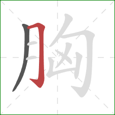 胸的笔顺第2画：横折钩