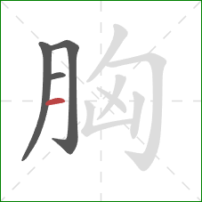 胸的笔顺第4画：横