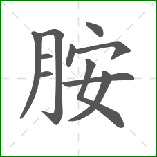 胺的部首 胺的部首