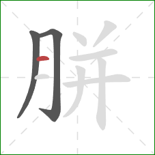 胼的笔顺第3画:横 胼的笔顺第3画:横