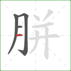 胼的笔顺第4画:横 胼的笔顺第4画:横