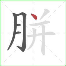 胼的笔顺第5画:点 胼的笔顺第5画:点